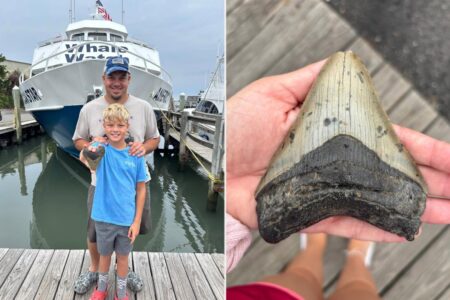 Massive tooth of 3.6M-year-old megalodon — largest shark to ever live — discovered on Jersey Shore
