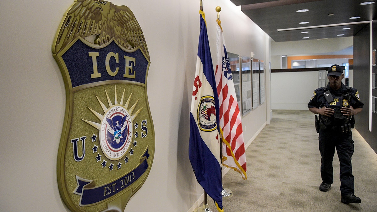 Law enforcement officer near ICE logo