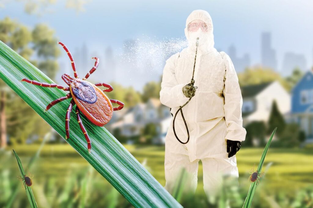 Why can’t we just kill all the ticks?