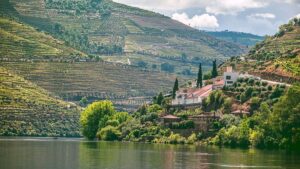 The best food and drink tours worth travelling for