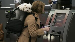 Which are Europe’s best pet-friendly airlines? Which are Europe’s best pet-friendly airlines?