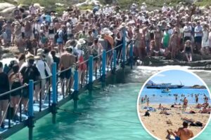 Greek officials seek tighter restrictions on tourists amid outrageous crowds at famed beach: ‘This is hell’