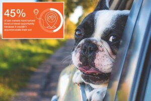 Nearly half of Americans have turned down travel opportunities that can’t accommodate pets: research