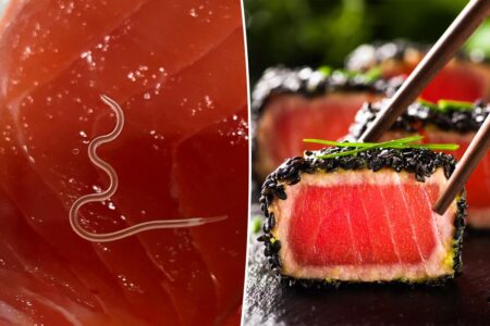 Worms found in 96% of sushi-grade tuna tested in a lab — risking potential illness and a ruined meal