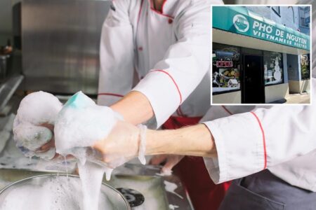 Laid-off tech workers rush to apply for -an-hour dishwashing job: ‘We’re looking for athletes’