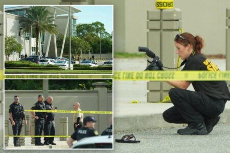 Florida woman, 70, opens fire inside police department lobby, chief says