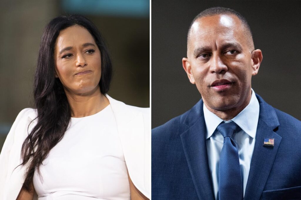 Palestinian journalist Rula Jebreal calls Hakeem Jeffries an ‘AIPAC monkey’ – claims she didn’t mean it in a ‘racist way’ Palestinian journalist Rula Jebreal calls Hakeem Jeffries an ‘AIPAC monkey’ – claims she didn’t mean it in a ‘racist way’