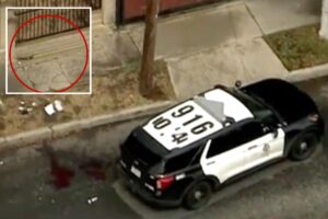 Man shot dead by police after charging officers with tree trimmer on LA street