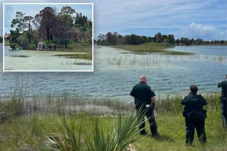 Child rushed to hospital after being savagely attacked by alligator in Florida on Labor Day