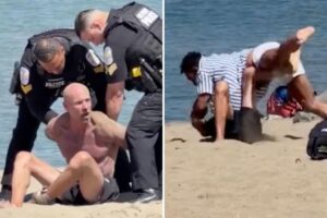 Wild brawl breaks out on California beach as martial artist describes violent dust-up: ‘ran into the wrong person’