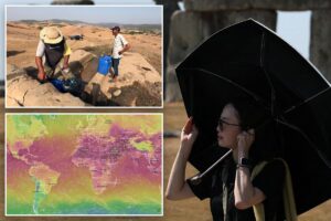 August was Earth’s hottest month on record, scientists say