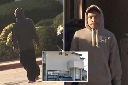 Wild twist as victim of Hollywood Hills home invasion unmasked as squatter