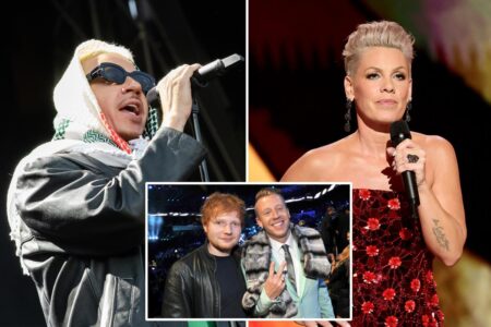 Pink hits back amid backlash for criticizing Macklemore’s anti-Israel concert rant