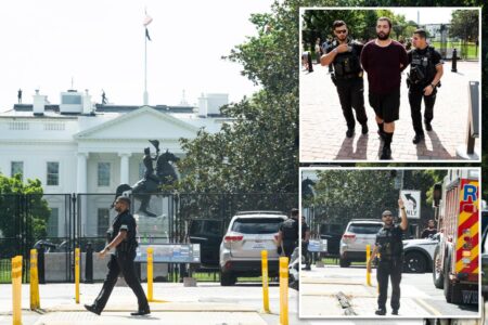Deranged man allegedly drives on  sidewalk near White House, demands to speak to Trump