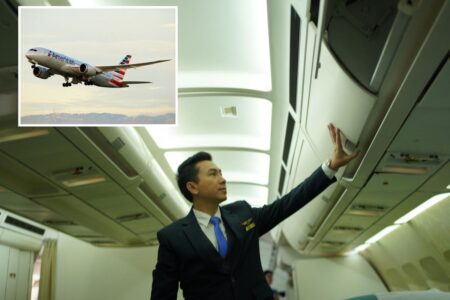 California flight attendants erupt as ‘illegal’ new FAA plan announced