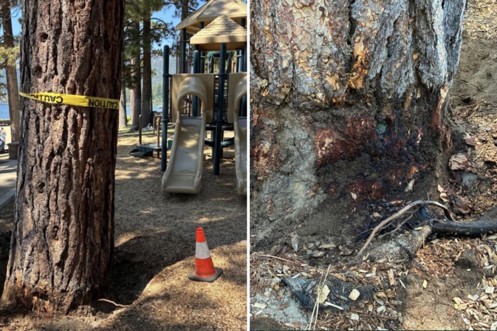 Billionaire’s playground offers 7K to unmask mystery poisoning suspect Billionaire’s playground offers 7K to unmask mystery poisoning suspect