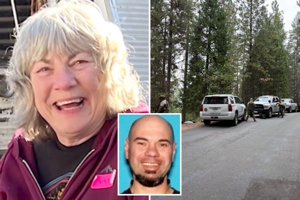 Gunman who sparked terror in small California town was arrested three times in a month before shooting dead elderly homeowner