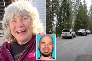 Gunman who sparked terror in small California town was arrested three times in a month before shooting dead elderly homeowner Gunman who sparked terror in small California town was arrested three times in a month before shooting dead elderly homeowner