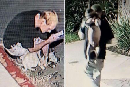 Vile moment sicko abuses his tiny pug at posh California marina