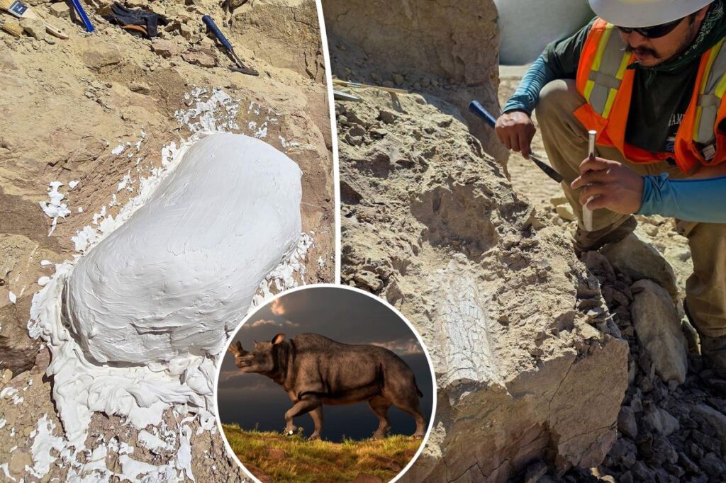 ‘Thunder beast’ that lived 45 million years ago unearthed in California beach town: scientists