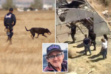 Frantic grave-digging effort in California desert uncovers human remains sparking murder investigation two weeks after man goes missing
