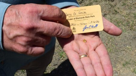 Grandfather finds hidden treasure in plain sight as park officials ‘dumbfounded’ by discovery