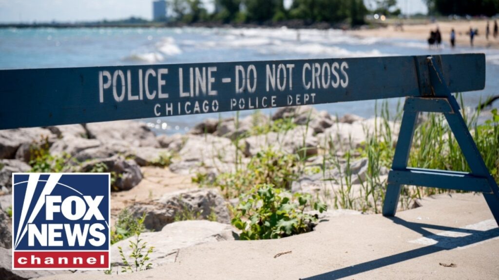 Chicago police face staffing CRISIS after DEADLY weekend shootings