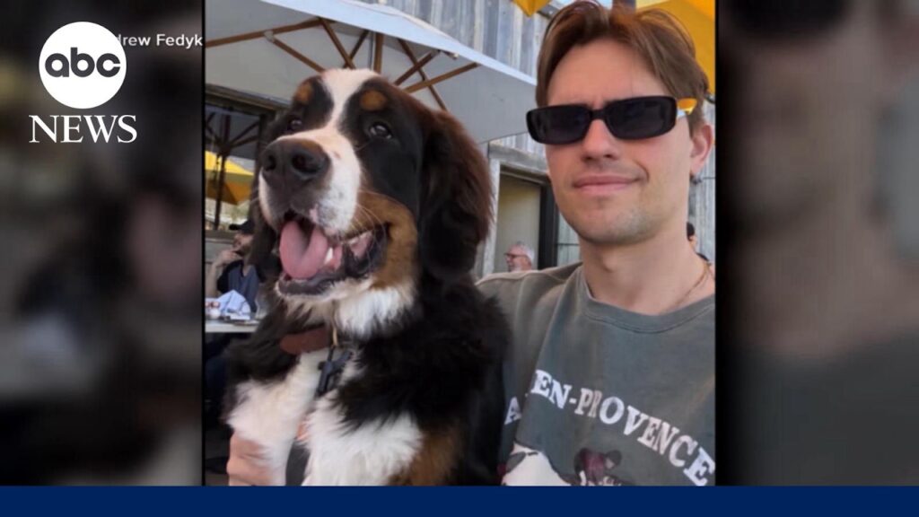LA DJ demanding answers after alleging ,000 dog training turns deadly