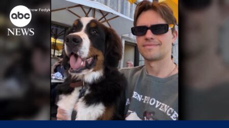 LA DJ demanding answers after alleging ,000 dog training turns deadly