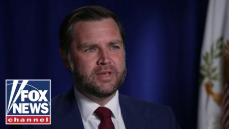 Vance FIRES BACK at El-Sayed’s ‘crazy’ comments: ‘BIT OF A JOKE’