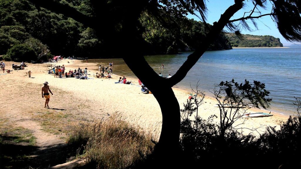 Deadly mystery unfolds as canoeists are found unresponsive after midnight trip Deadly mystery unfolds as canoeists are found unresponsive after midnight trip