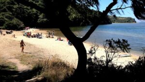Deadly mystery unfolds as canoeists are found unresponsive after midnight trip Deadly mystery unfolds as canoeists are found unresponsive after midnight trip