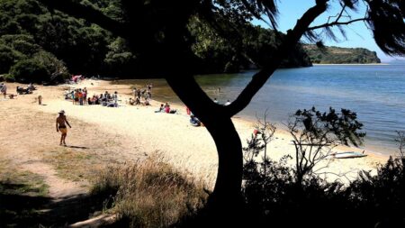 Deadly mystery unfolds as canoeists are found unresponsive after midnight trip