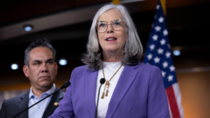 Top Democrat survives double-barreled challenge as party’s Israel divide hits home