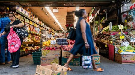 Her immigrant parents built a NYC grocery store from scratch. Now Mamdani’s experiment could end it.