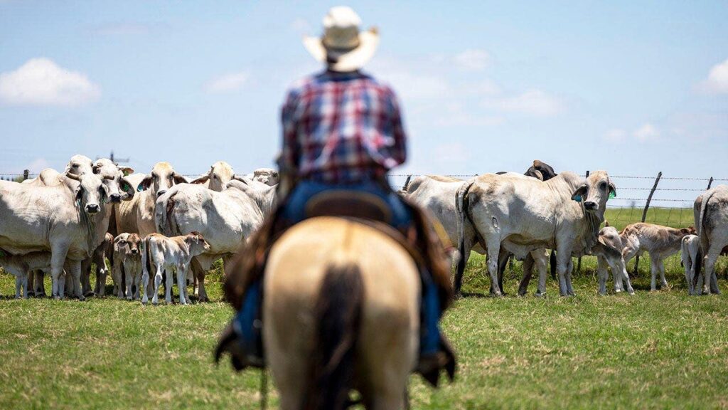 ‘Why would he do this to us?’: Trump’s foreign beef push is hurting his base, Republicans warn ‘Why would he do this to us?’: Trump’s foreign beef push is hurting his base, Republicans warn