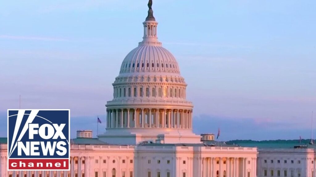 Republicans PROBE birth tourism companies