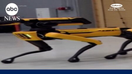 ICE plans to purhase robot dogs