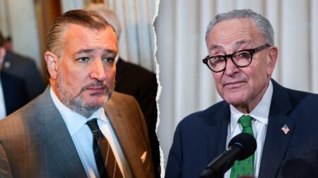 Ted Cruz names ‘most powerful Democrat’ as he warns socialist rise has paralyzed bipartisanship
