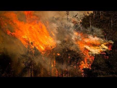El Niño to be ‘very strong’ and last until February, UN climate agency warns