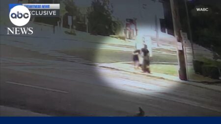 Group spotted emerging from another manhole in New York