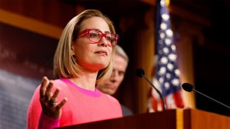 Judge allows ‘homewrecker’ lawsuit against former Sen Kyrsten Sinema to move forward