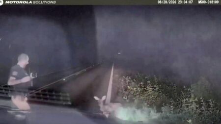 Texas deputy screams and runs after ‘dead’ deer springs to feet in viral encounter