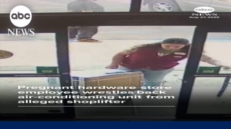Pregnant hardware store worker takes back AC unit from alleged shoplifter