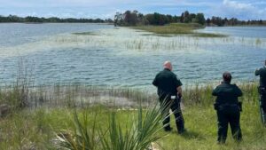 Massive alligator attacks young swimmer in nature preserve despite posted warning