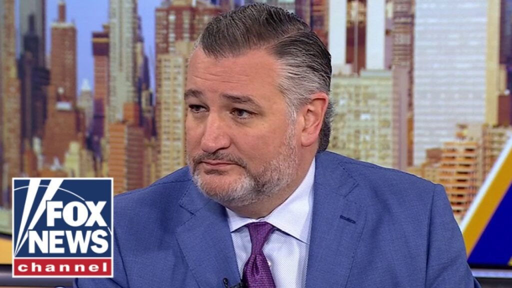 Ted Cruz SOUNDS ALARM on crucial race: This will ‘LEAVE BRUISES’