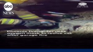 Phoenix firefighter uses oxygen mask to revive cat after garage fire