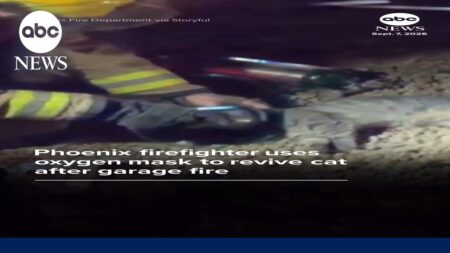 Phoenix firefighter uses oxygen mask to revive cat after garage fire
