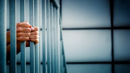Chinese nationals accused of smuggling synthetic drugs into US prisons on drug-soaked paper