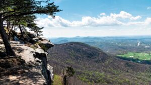 Hiker in Georgia makes disturbing discovery on mountain